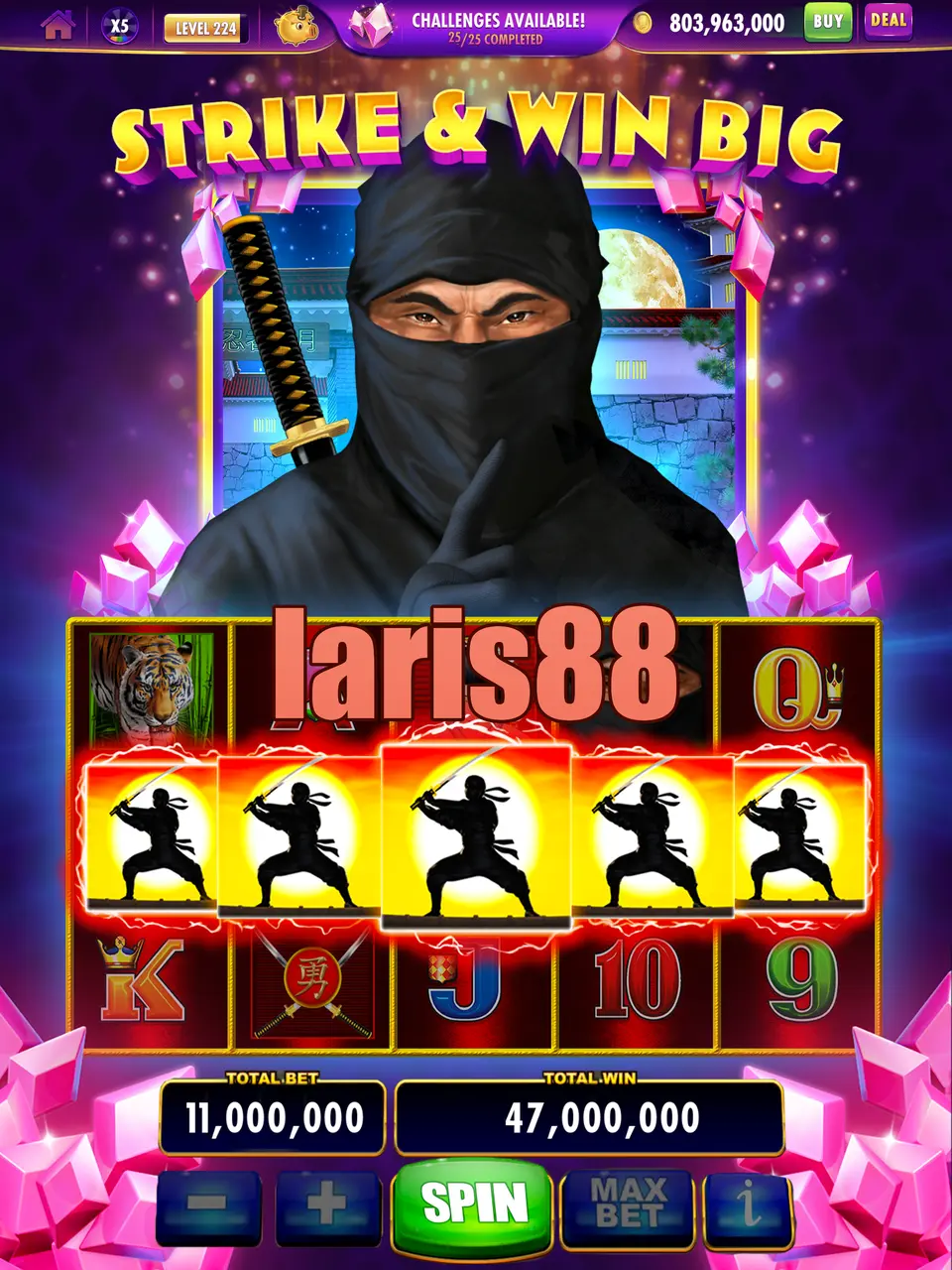 laris88 Masuk
